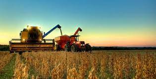 Clima desfavorável reduz produção nacional de soja