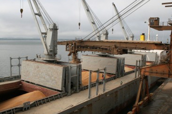 Cotações do milho sobem quase 18 por cento nos portos