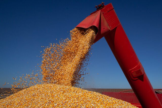 Fator novo pode DISPARAR preços do milho