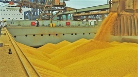 Exportações de soja e milho em queda.