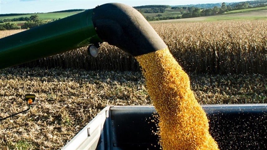 Antonio Sartori avalia relatório do USDA.