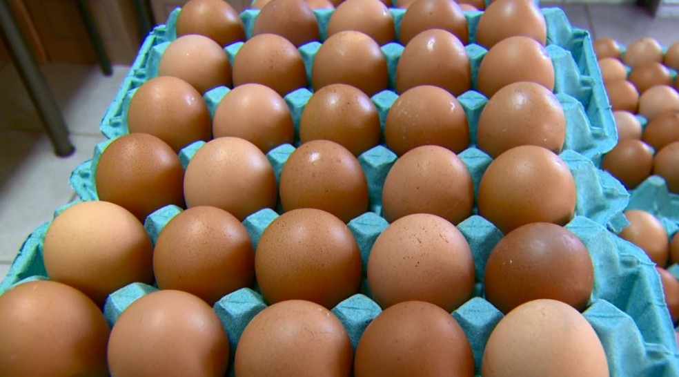 Exportações de ovos mantém alta de 143,4 por cento em 2021